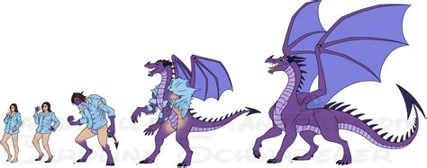 dragon tf|Dragon Transformations